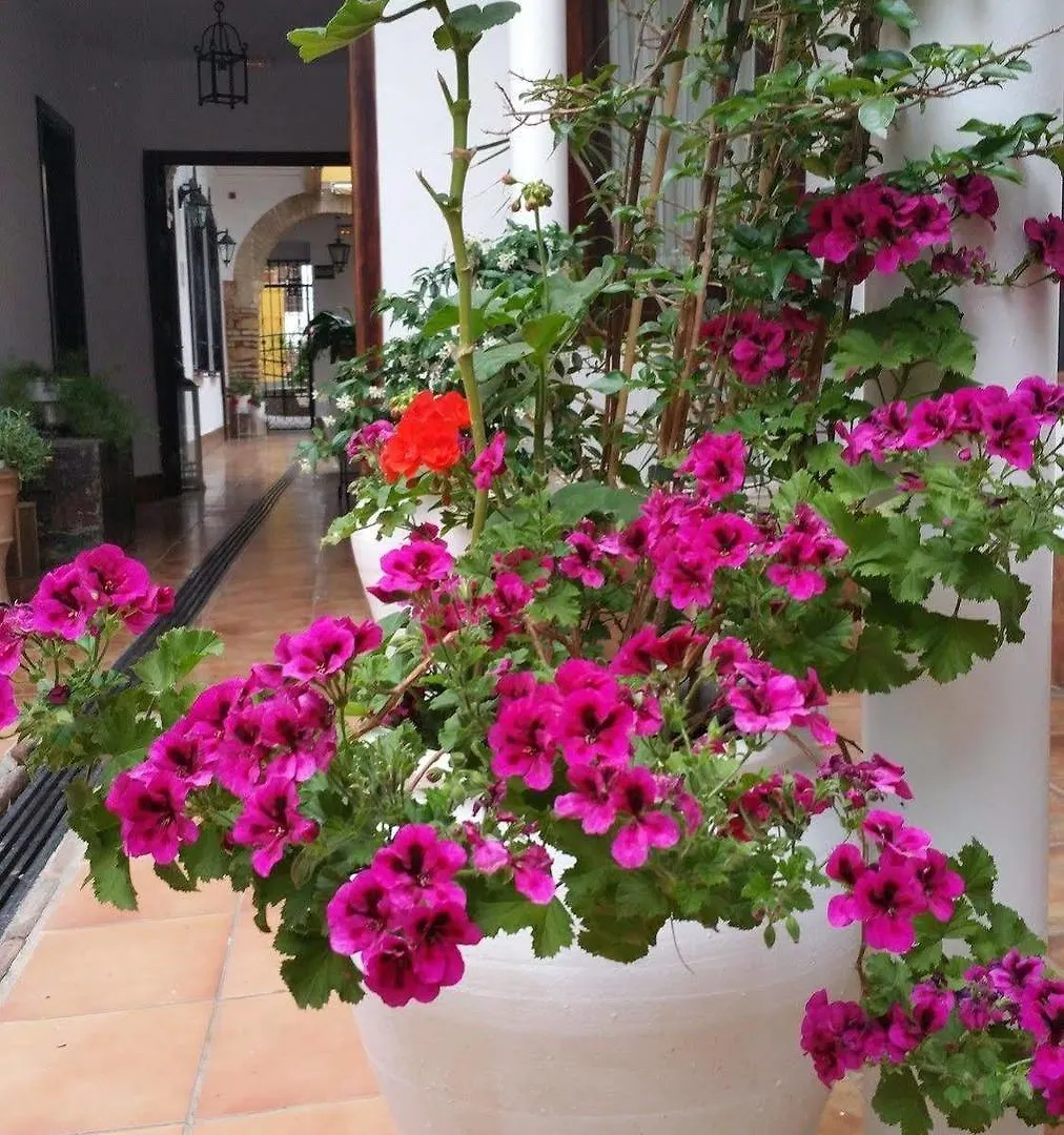 Hotel Boutique Puerta Del Rincon Cordoba