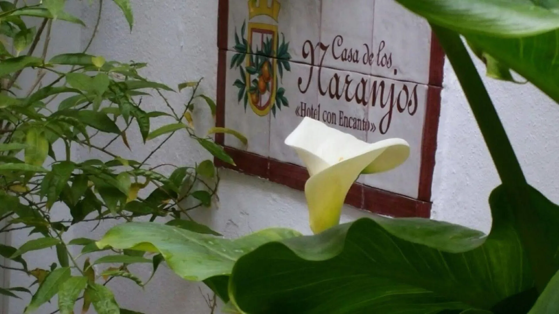 **  Hotel Boutique Puerta Del Rincon Cordoba Spain