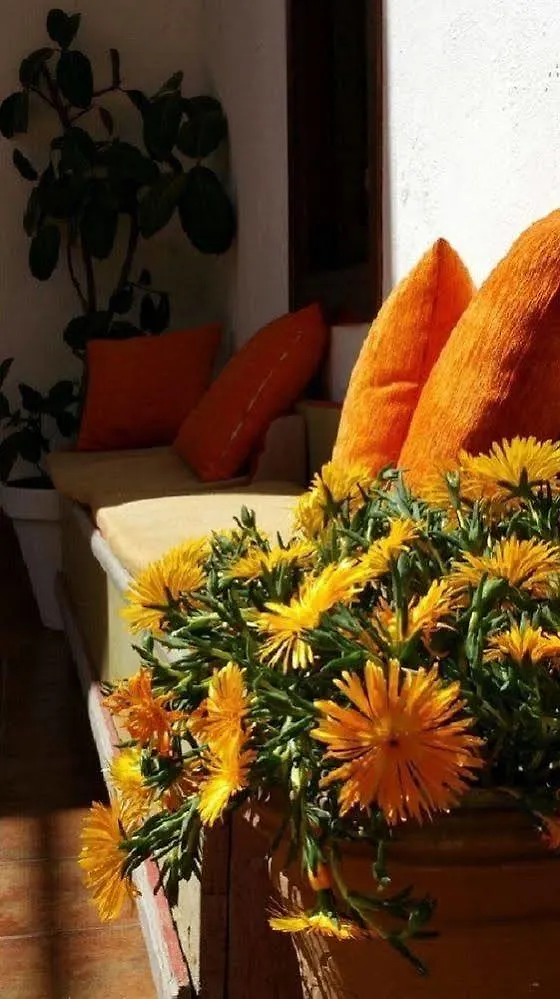 **  Hotel Boutique Puerta Del Rincon Córdoba Spanien